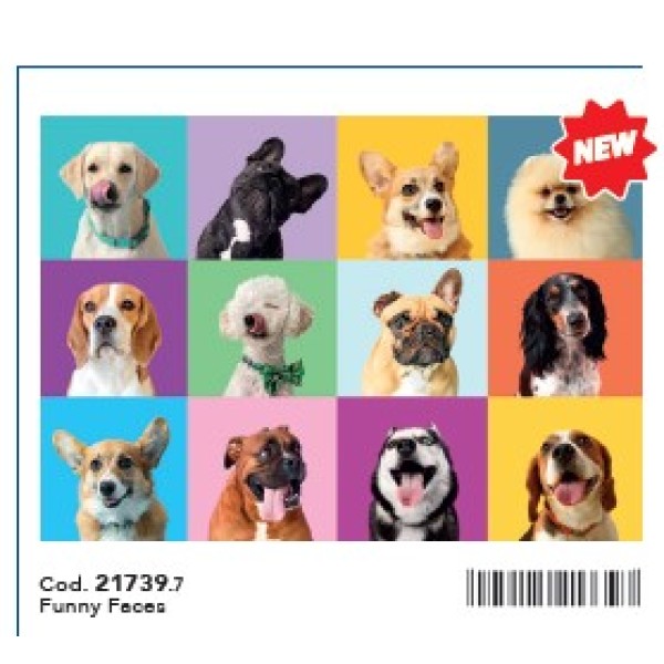 EZ - 300 - PUZZLE FUNNY FACES - 03-21739CLE